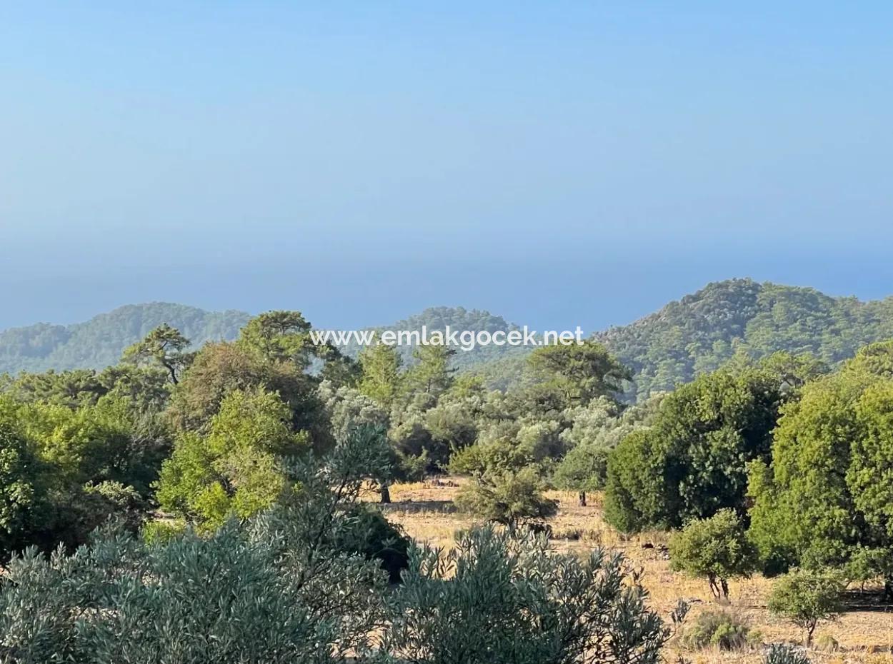 2620M2 Land Field For Sale With Sea View Of Çandir