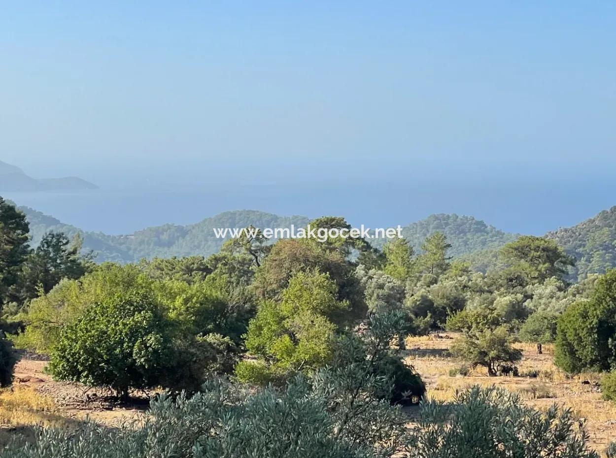 2620M2 Land Field For Sale With Sea View Of Çandir