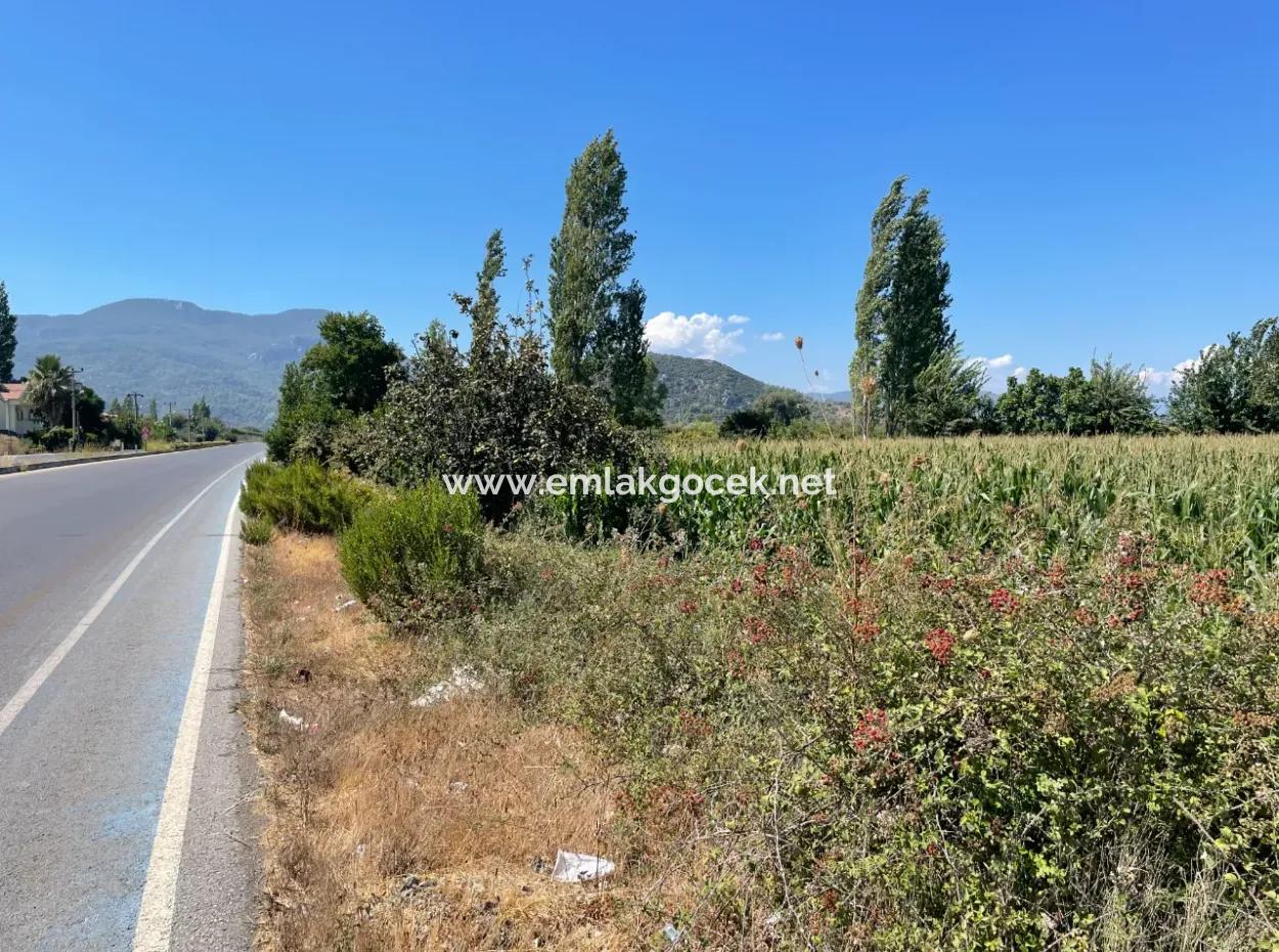 Dalyan Main Road Zero Land For Sale 8115M2 Commercial Land For Sale