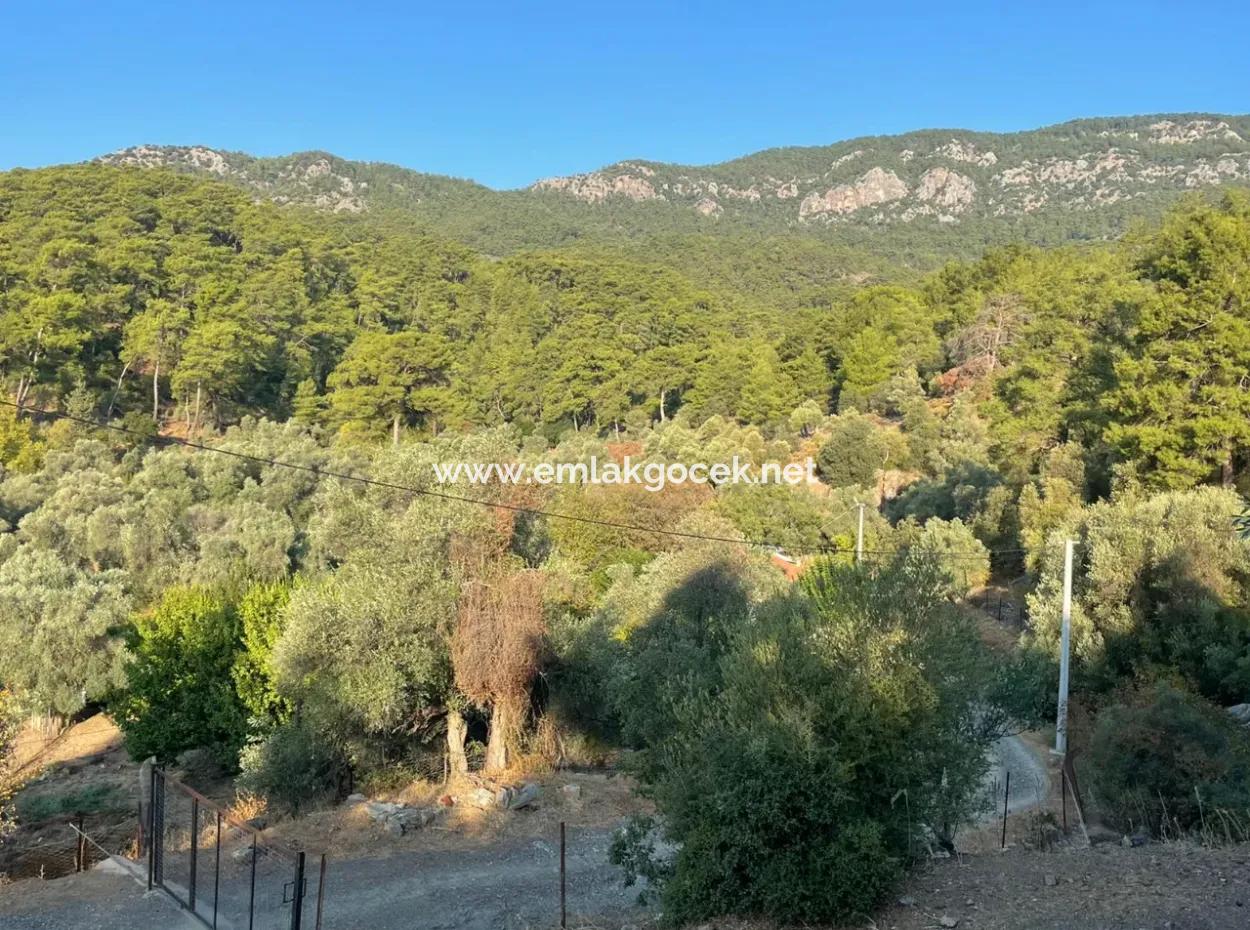 Çandir 3,800M2 Land For Sale