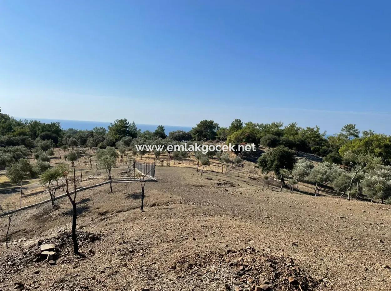 Land For Sale With Sea View Of Çandir