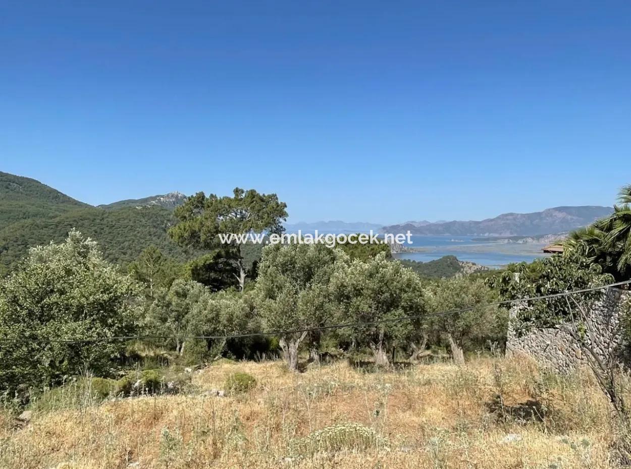 Land For Sale With Sea View In Gokbel