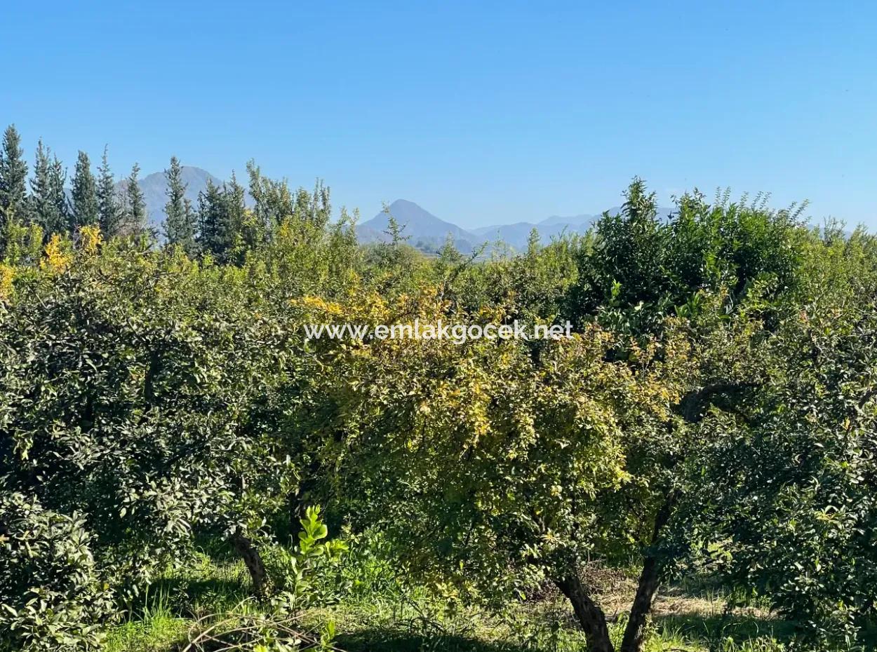 2223M2 Fields For Sale In Dalyan
