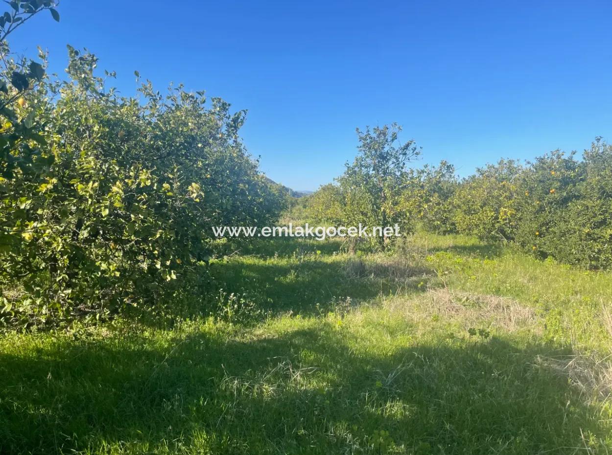 Dalyan Land For Sale 5227M2 Land For Sale