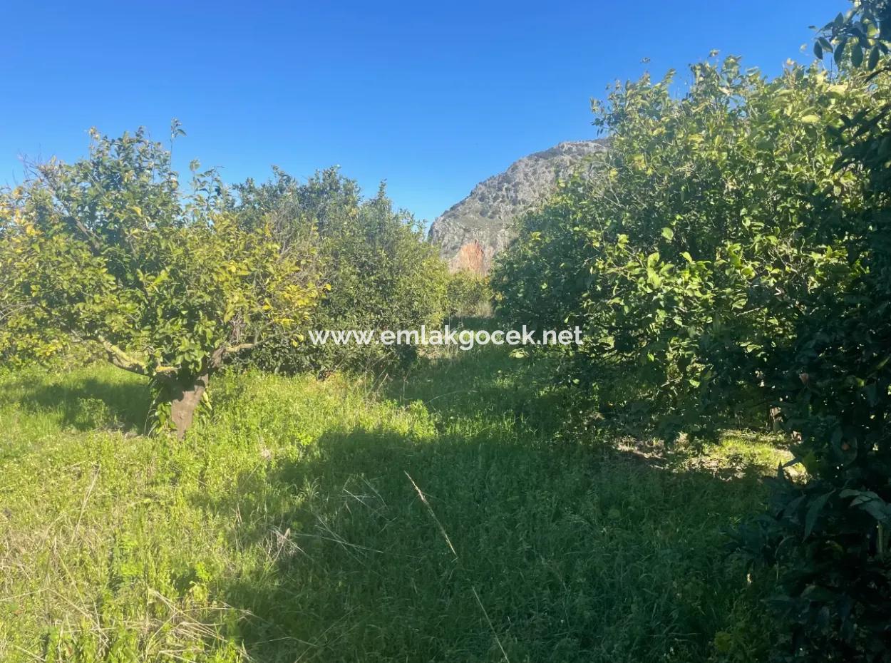 Dalyan Land For Sale 5227M2 Land For Sale