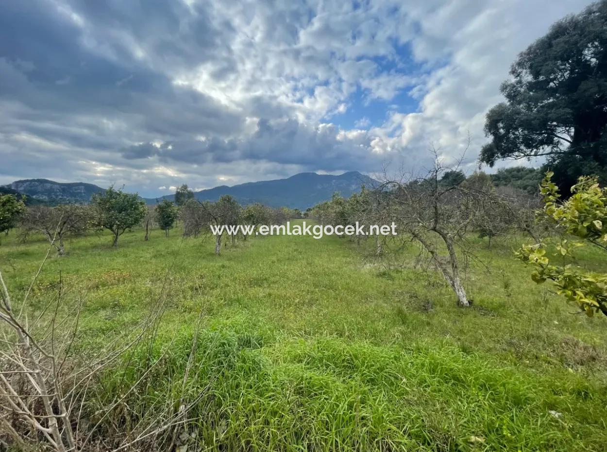 Dalyan Boutique Hotel For Sale Bungolevler For Sale In 11.000M2 Plot