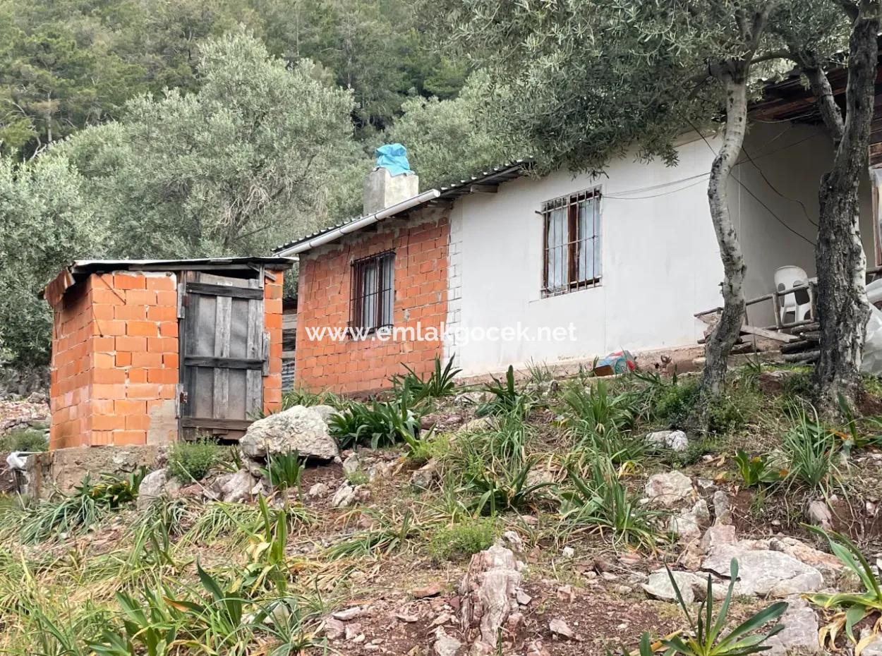 Olive House With Sea View In Ekincik Is For Sale