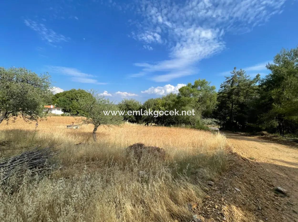 Land For Sale In Ula Armutchuk With 501M2 Zoning