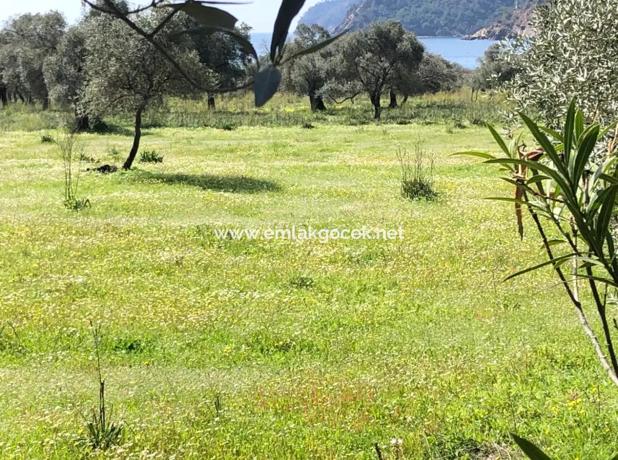 3250M2 Land For Sale In Ekincik With A View Near The Sea