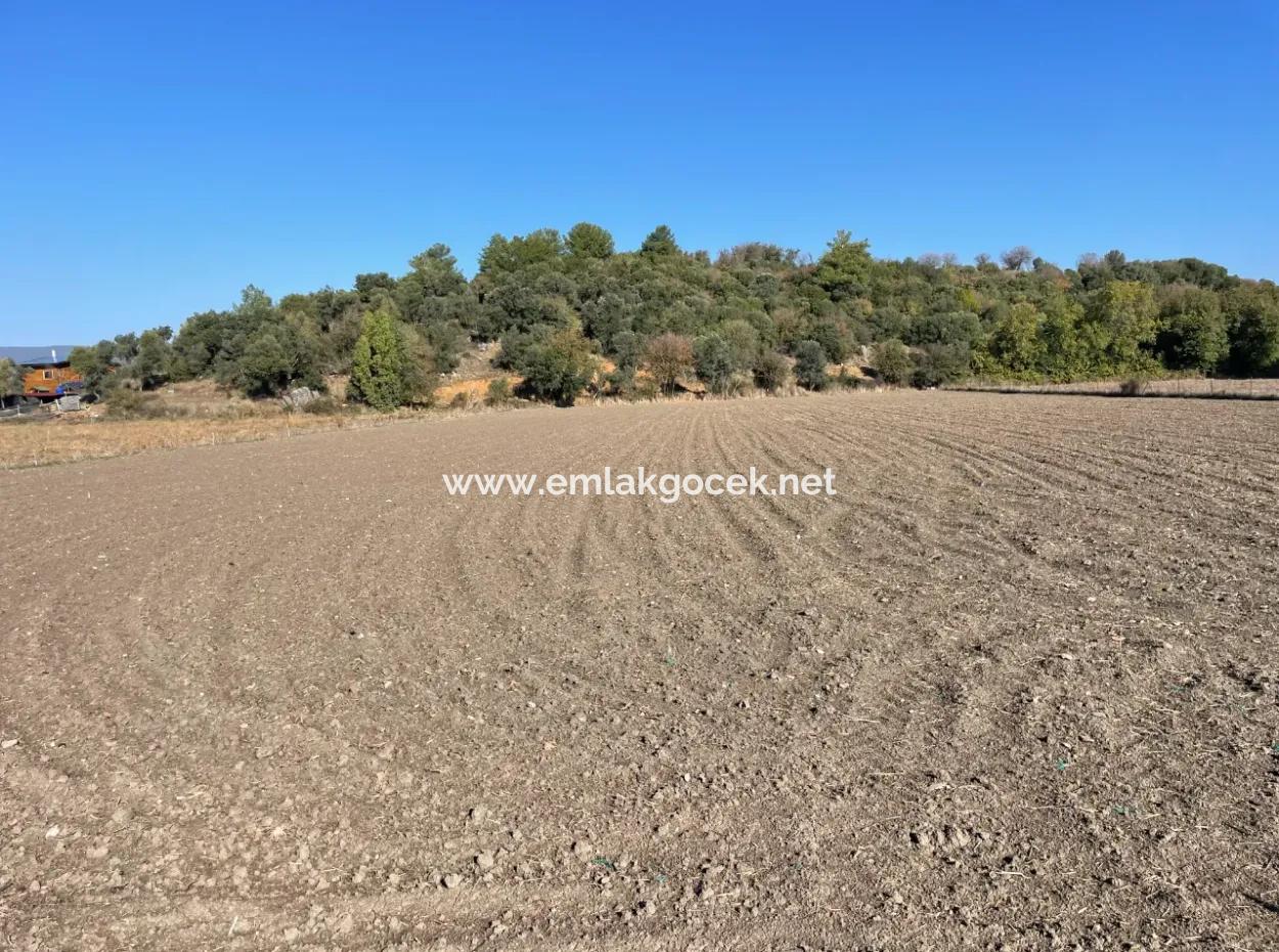 6254M2 Field For Sale Near Dalyan In Eskiköy