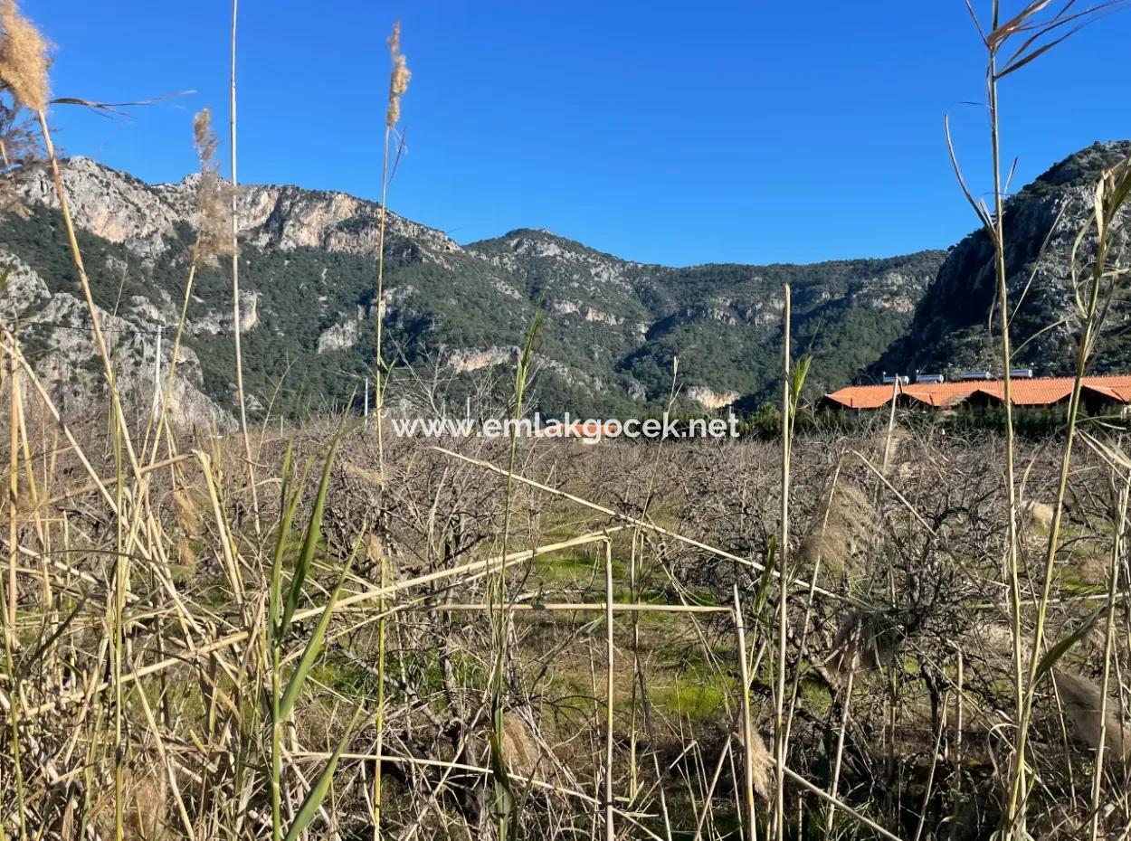 Dalyan Iztuzu Road Zero 5216M2 Field Plot For Sale