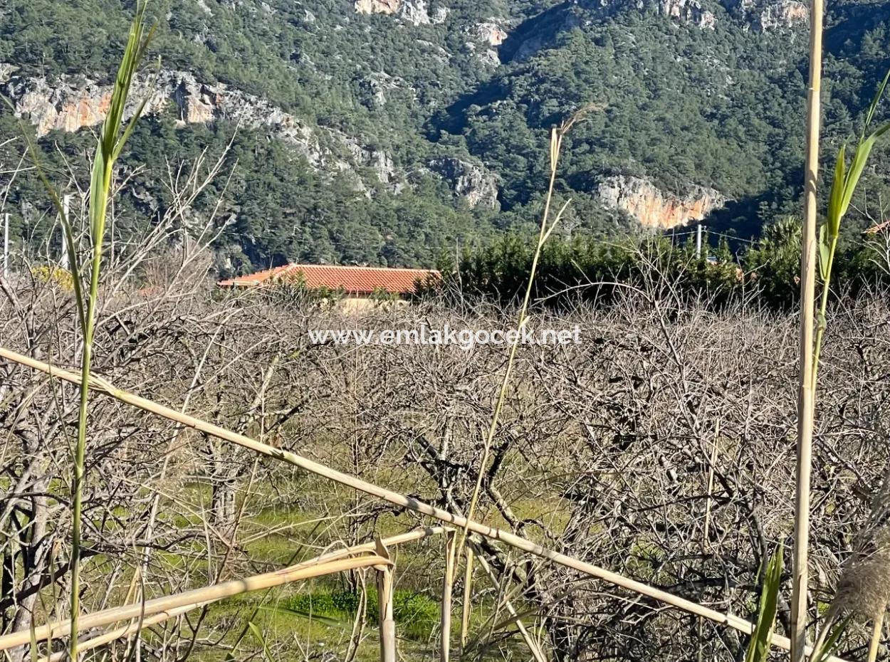 Dalyan Iztuzu Road Zero 5216M2 Field Plot For Sale