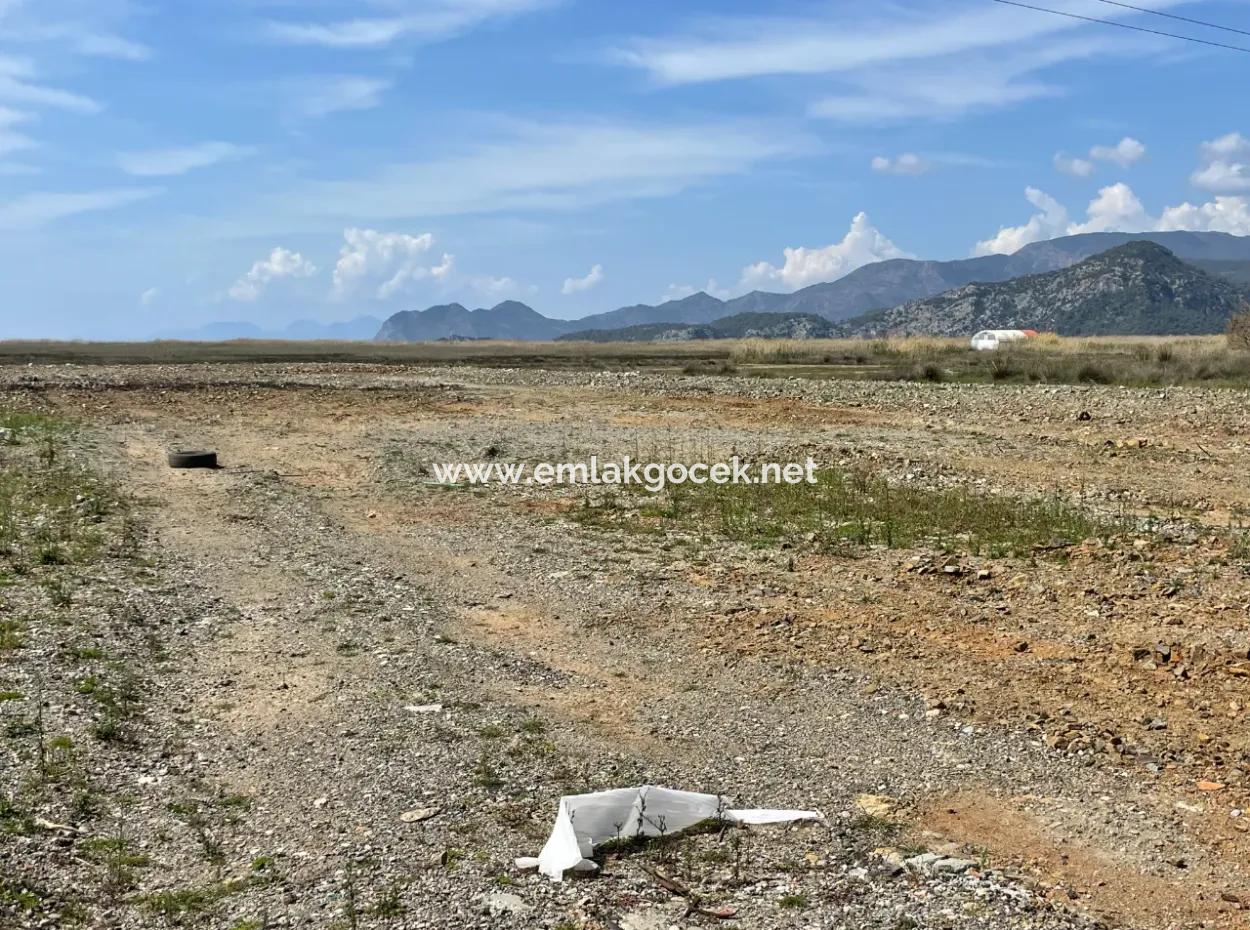 Dalyan Iztuzu Beach Road Zero 19,600M2 Field Land For Sale