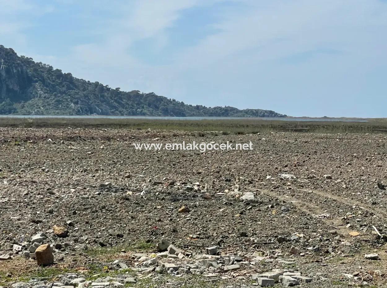 Dalyan Iztuzu Beach Road Zero 19,600M2 Field Land For Sale