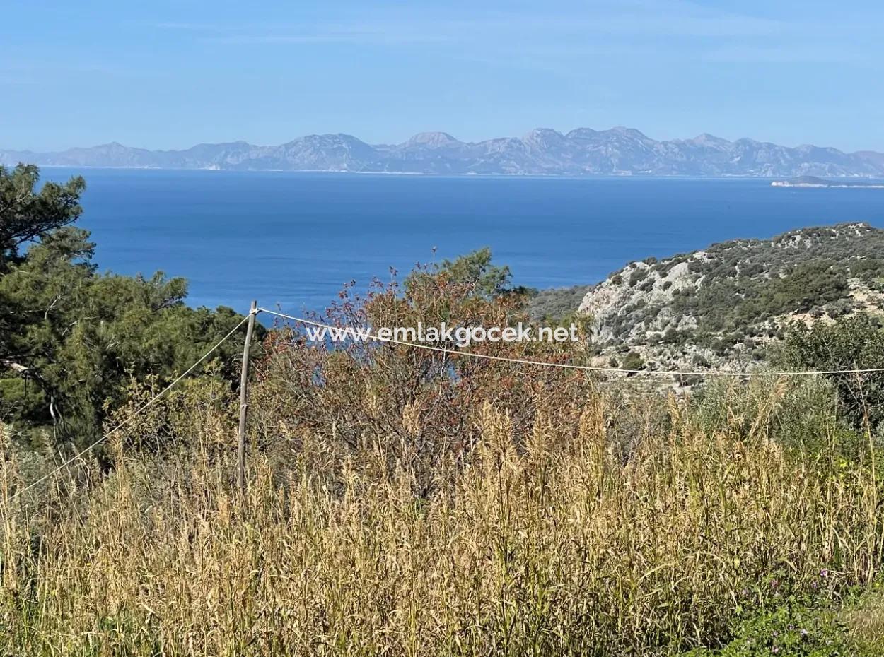 Village House For Sale In 4,400M2 Land With Full Sea View In Gökbel