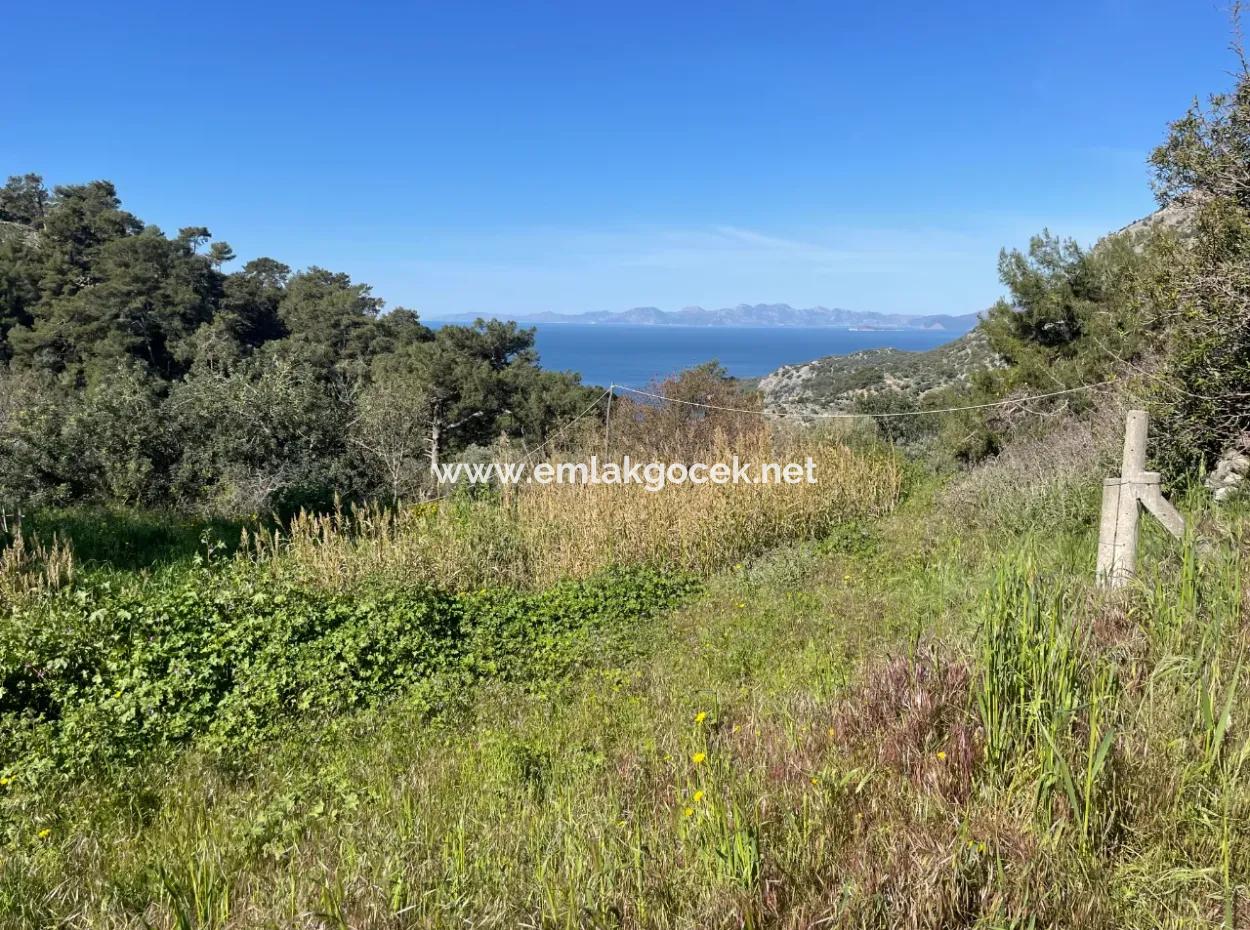 Village House For Sale In 4,400M2 Land With Full Sea View In Gökbel