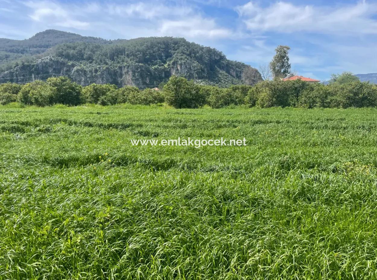 736M2 Land For Sale In Okçular