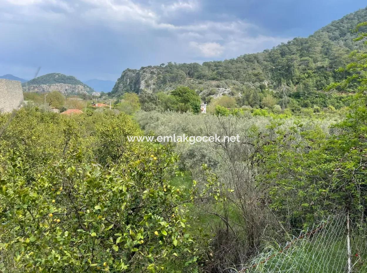 5000M2 Field For Sale At The Beginning Of The Road In Çandır