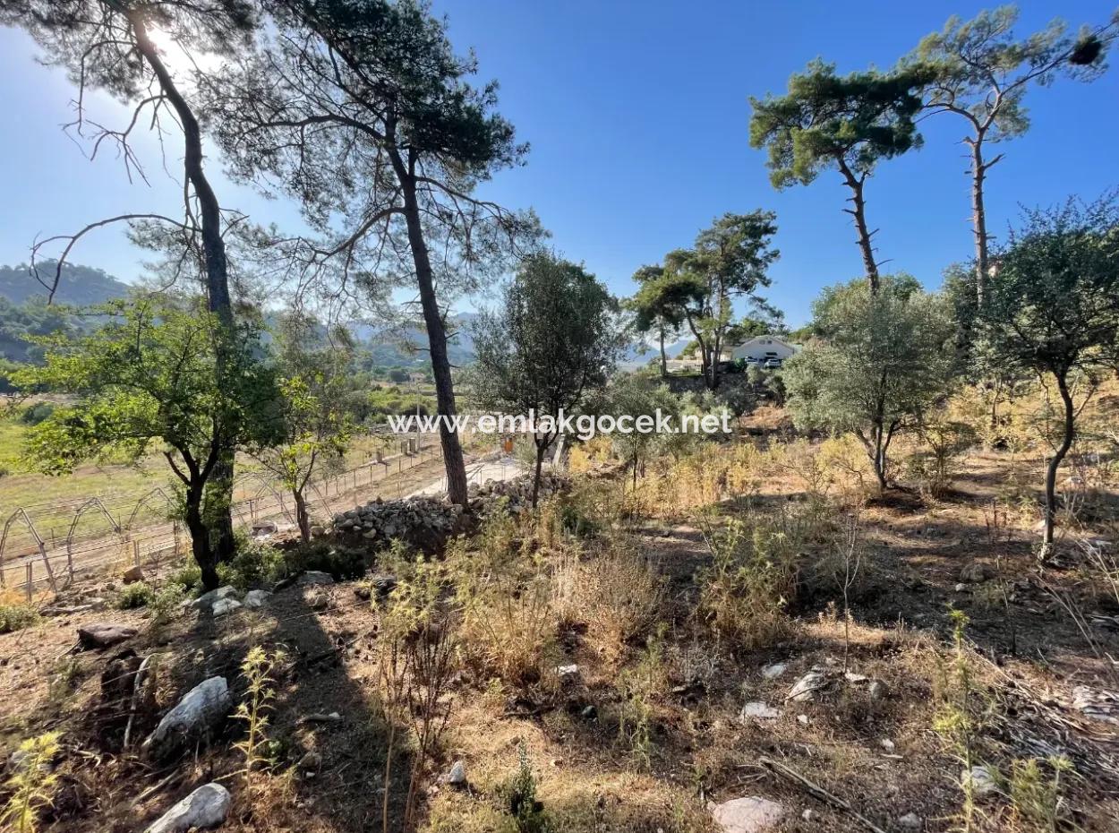 1,320M2 Field For Sale In Çandır Center By The Forest