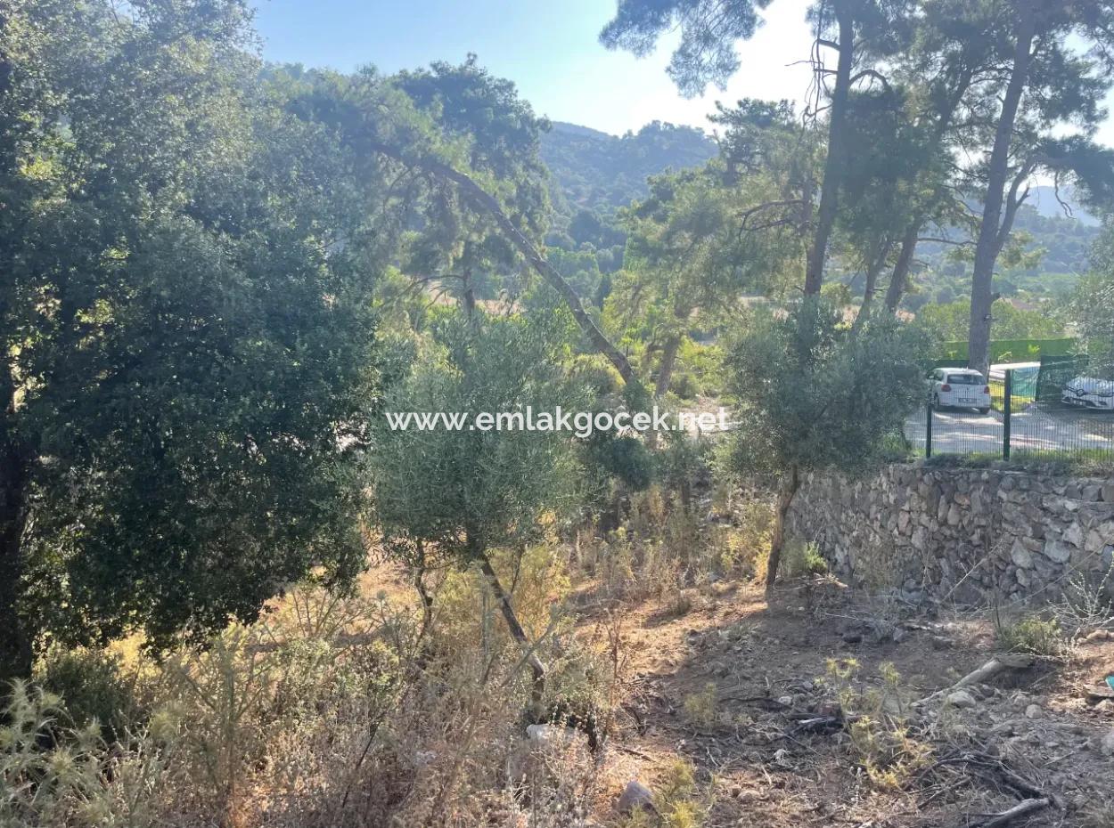1,320M2 Field For Sale In Çandır Center By The Forest