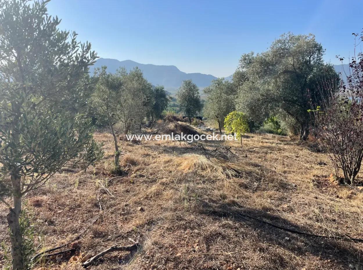 Çandır Full Sea And Lake View 500M2 2B Field For Sale