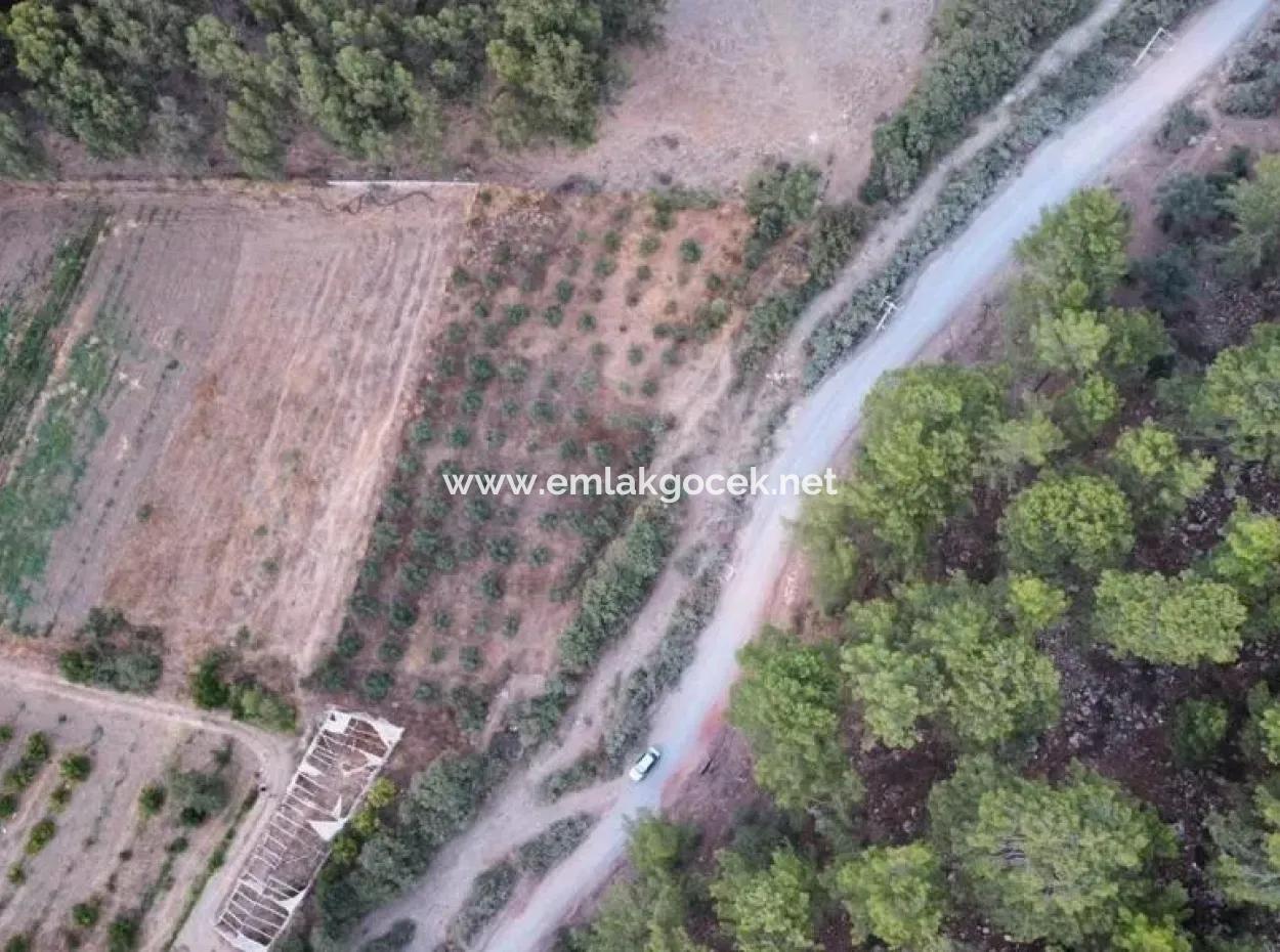 3578M2 Field For Sale On The Road Of Aşı Koyu In Mergenlide