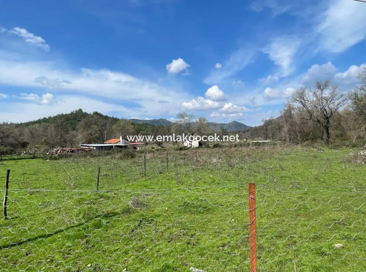 Sultaniye Büyükkaraç Mahallesin For Sale Field