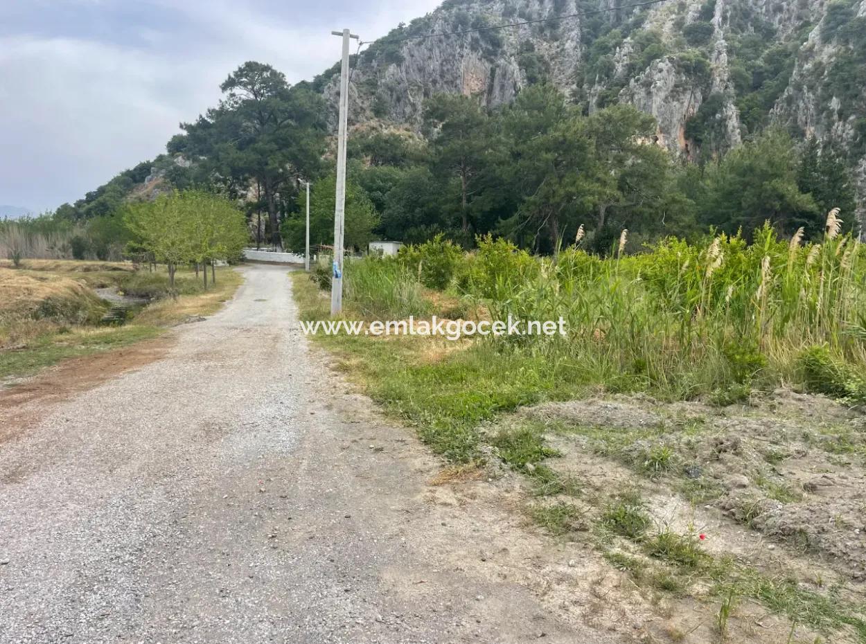 Field For Sale 6500M2 In Dalyan