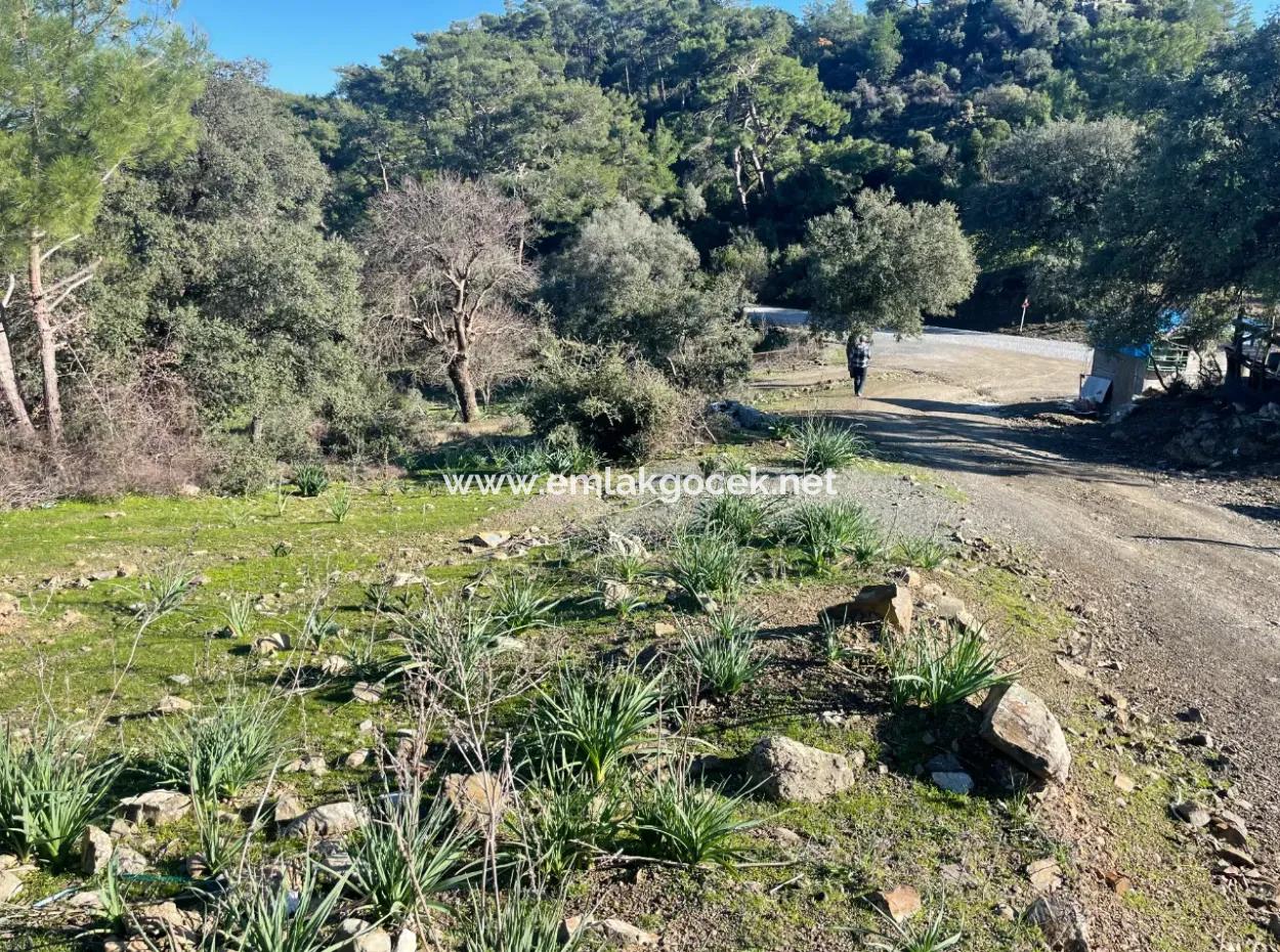 2B Land For Sale With Sea View In Çandır