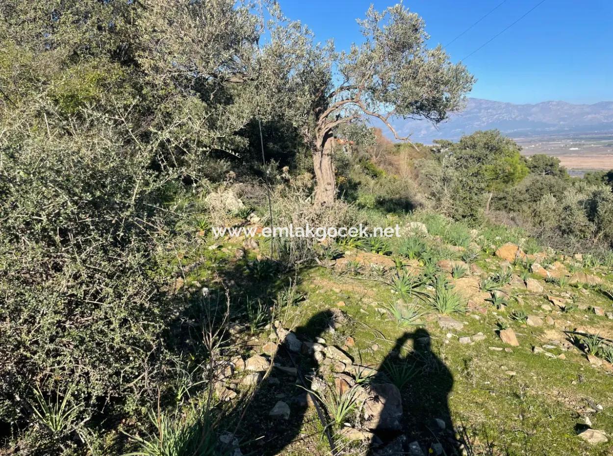 2B Land For Sale With Sea View In Çandır