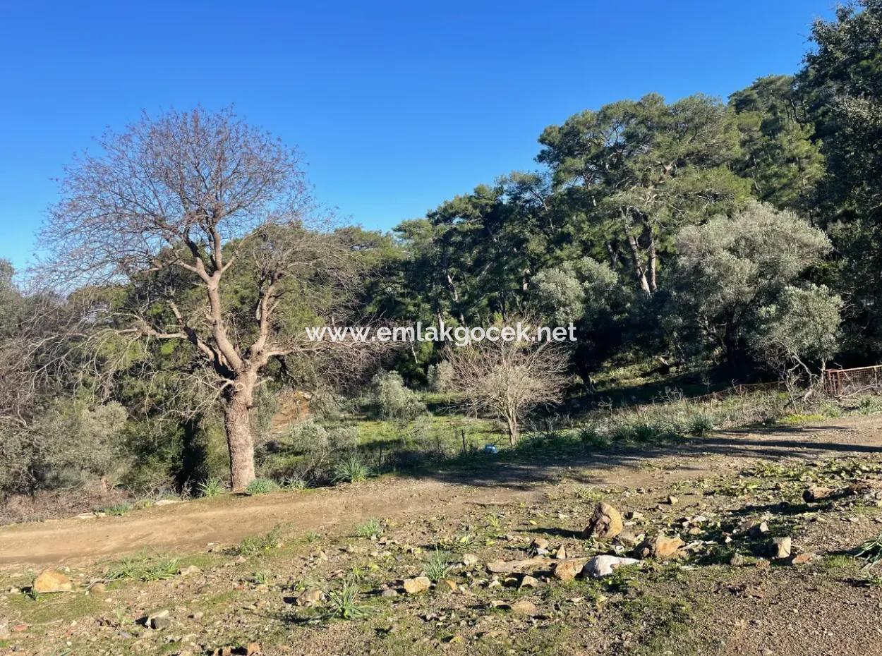 2B Land For Sale With Sea View In Çandır