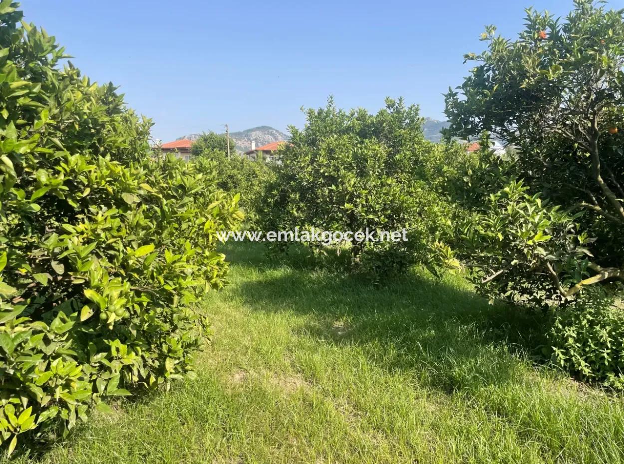 Land For Sale In Gulpinar, Dalyan 722M2