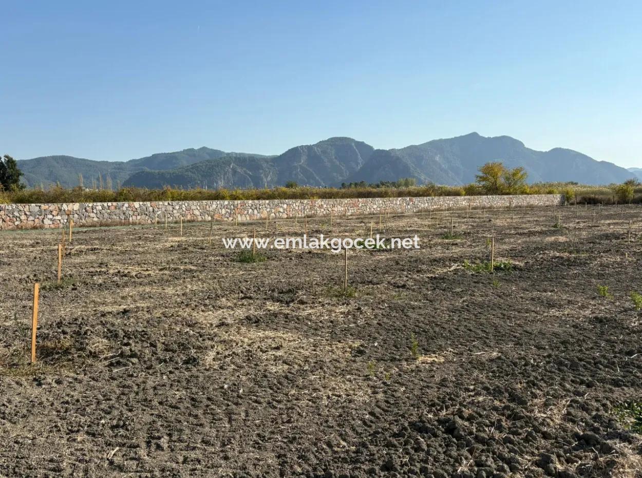 19.663M2 Farm Land And House For Sale In Eskiköy