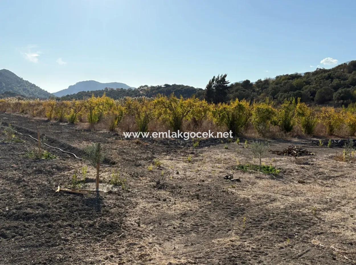 19.663M2 Farm Land And House For Sale In Eskiköy