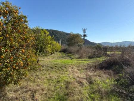 23,000M2 Detached Field Garden For Sale In Tepearasin,