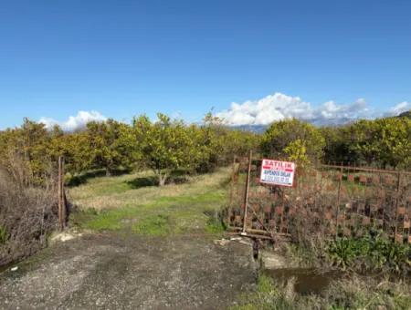 23,000M2 Detached Field Garden For Sale In Tepearasin,