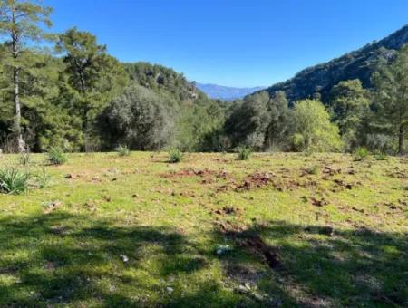 Land For Sale In Nature And Forest In Gökbel