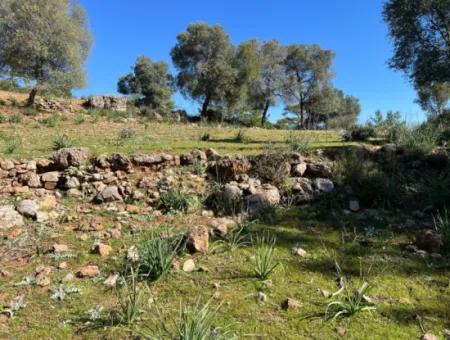 Land For Sale In Nature And Forest In Gökbel