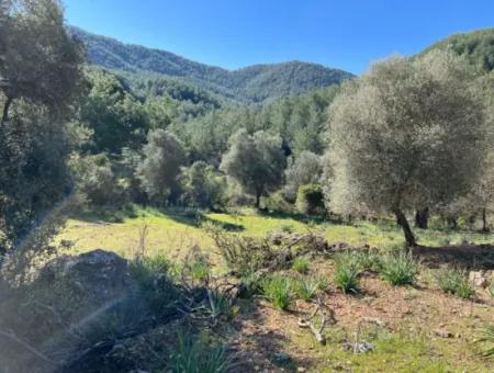 Land For Sale In Nature And Forest In Gökbel
