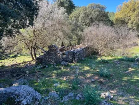Land For Sale In Nature And Forest In Gökbel