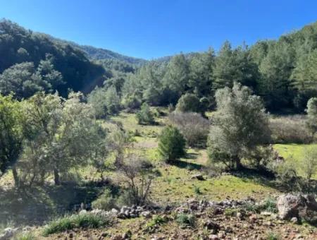 Land For Sale In Nature And Forest In Gökbel