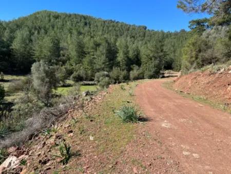 Land For Sale In Nature And Forest In Gökbel