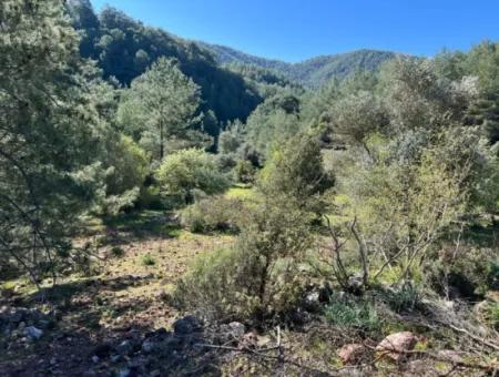 Land For Sale In Nature And Forest In Gökbel