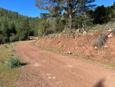 Land For Sale In Nature And Forest In Gökbel
