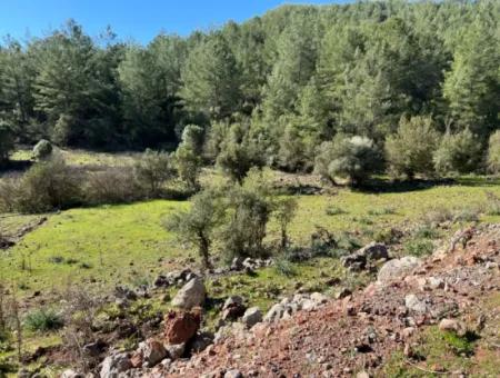 Land For Sale In Nature And Forest In Gökbel