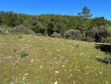 Land For Sale In Nature And Forest In Gökbel