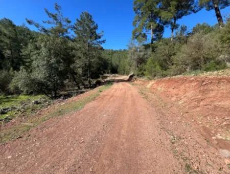 Land For Sale In Nature And Forest In Gökbel