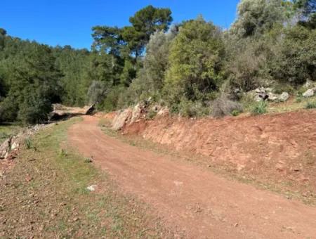 Land For Sale In Nature And Forest In Gökbel