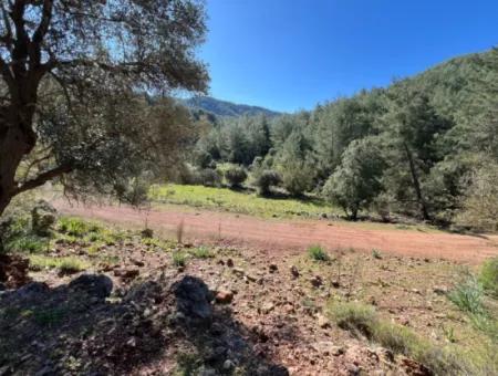 Land For Sale In Nature And Forest In Gökbel