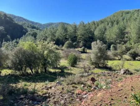Land For Sale In Nature And Forest In Gökbel